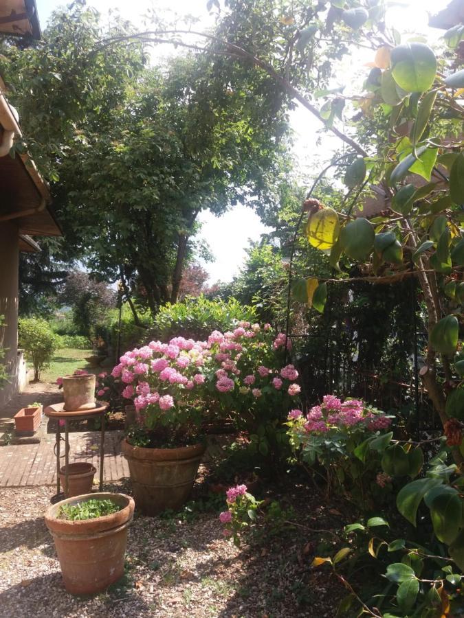 卢波阿佐罗住宿加早餐旅馆 锡耶纳 外观 照片